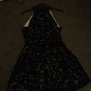 Lace velvet Black and Tan dress